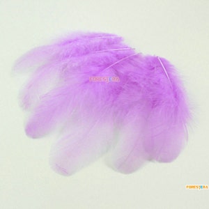 100 Pieces Light Purple Feather 4-9cm (YM213)