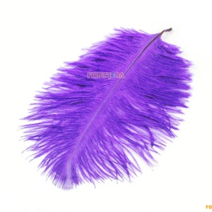 5 Pieces Purple Feather 15-20cm (YM115)