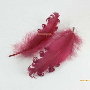 10 Pieces Wine Red Feather 10-17CM (YM534)