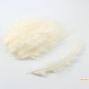 50 Pieces Light Beige Feather 8-15cm (YM611)