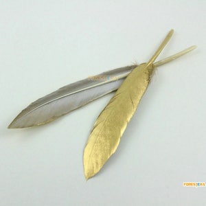 May include: Two feathers, one natural grey and one gold, are crossed over each other. The gold feather has a metallic sheen.