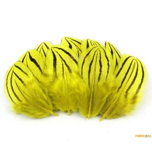 20 Pieces Yellow Feather 5-6cm (YM235)