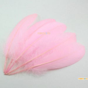 50 Stück rosa Feder 14-20cm (YM344)
