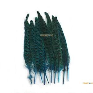 10 Pieces Blue Green Feather 19-25cm (YM488)