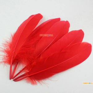 50 Pieces Red Feather 14-20cm (YM347)