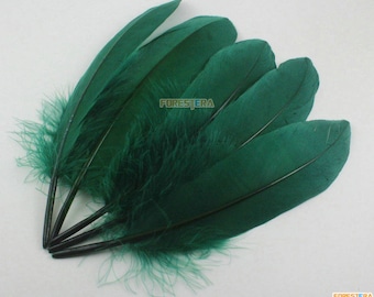 50 Piezas Pluma Verde Oscuro 14-20cm (YM335)