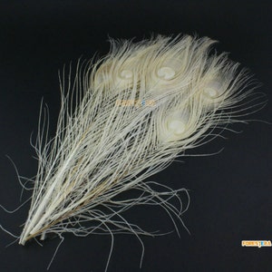 10 Pieces White Peacock Feather 25-30cm (YM177)