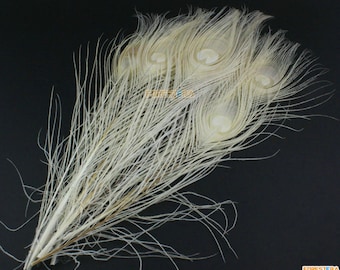 10 Pieces White Peacock Feather 25-30cm (YM177)