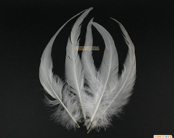 Puede incluir: Cinco plumas blancas con una textura suave y esponjosa. Las plumas están dispuestas en forma de abanico y tienen una apariencia natural y elegante.