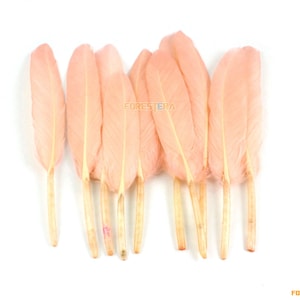 50 Stück Pfirsich-rosa Feder 9-15cm (YM145)