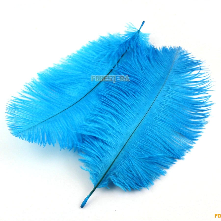 5 Pieces Sky Blue Feather 15-20cm (YM114) - Etsy