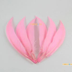 50 Pieces Pink Feather 10-15cm (YM381)