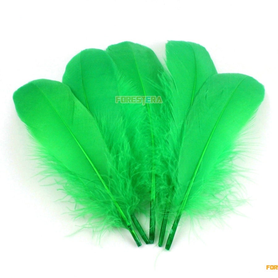 50 Pieces Grass Green Feather 1015cm YM105 Etsy