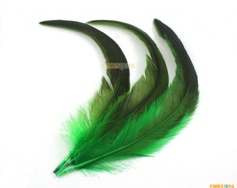 10 Piezas Pluma Verde 18-30cm (YM65)