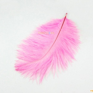 5 Stück rosa Feder 15-20cm (YM111)