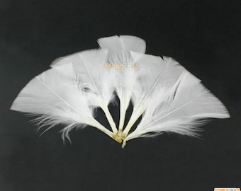 Puede incluir: Un grupo de plumas blancas dispuestas en forma de abanico. Las plumas son suaves y esponjosas, y tienen un aspecto natural sin blanquear.