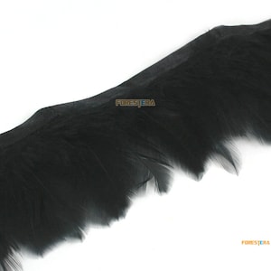 50cm Black Feather Trim (YM162)