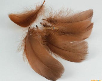 flowerlower320design Brown Feather 100 Pieces Brown Feather 6-12CM (YM406) - Etsy