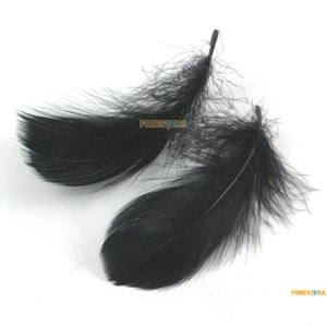 100 Pieces Black Feather 8-12cm (YM159)
