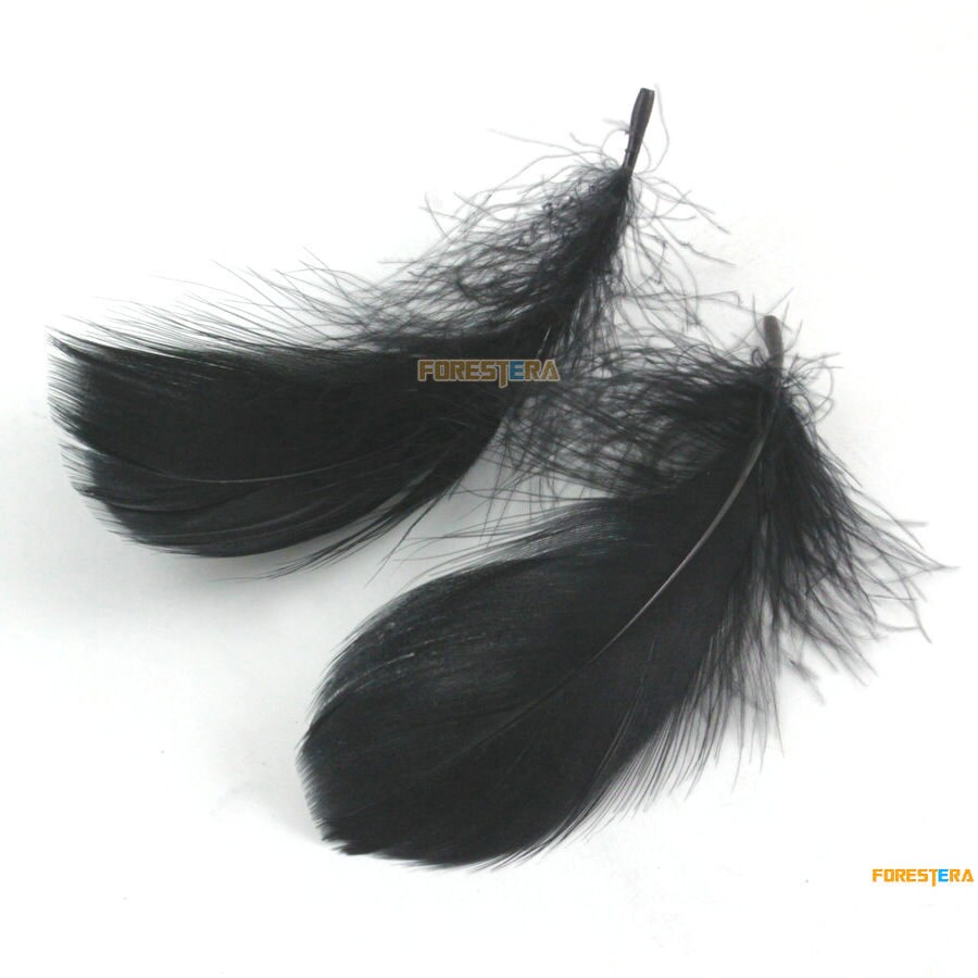 100 Pieces Black Feather 812cm YM159 Etsy