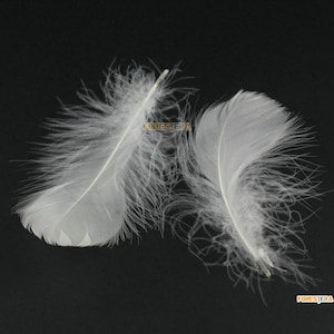 100 Pieces White Feather 5-8cm (YM225)