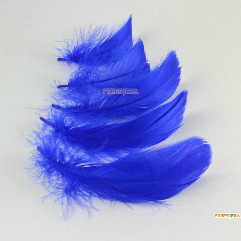 100 Pieces Dark Blue Feather 6-12CM YM396 image 2