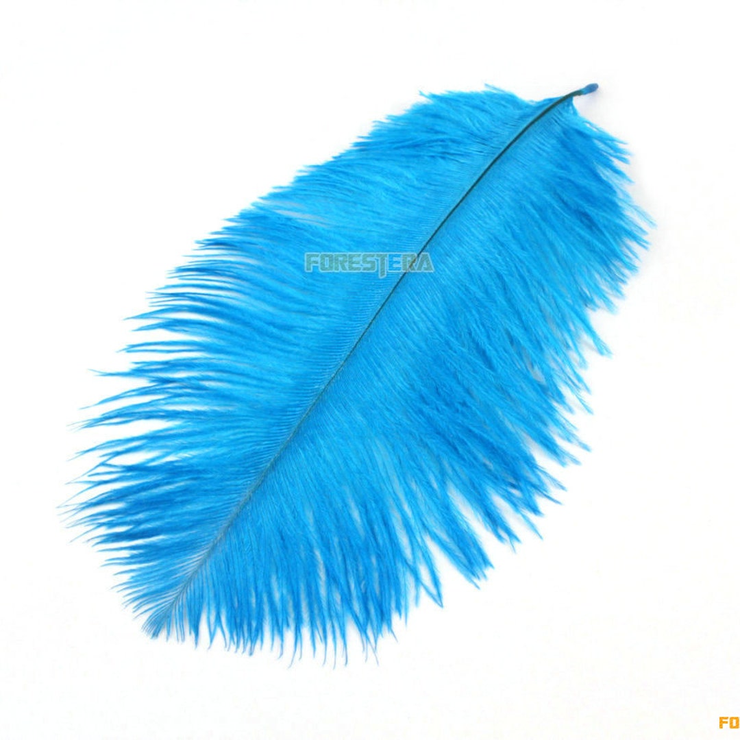 5 Pieces Sky Blue Feather 15-20cm (YM114) - Etsy