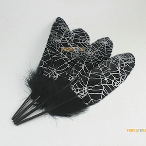 10 Pieces Cobweb Black Feather 14-20cm (YM468)
