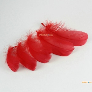 100 Pieces Red Feather 6-12CM (YM388)