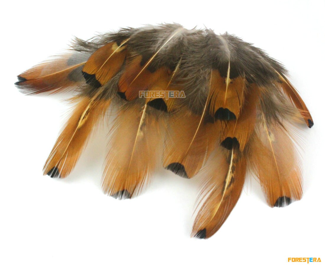 flowerlower320design Brown Feather 61vICW0o3gL._AC_SY200_QL15_.jpg