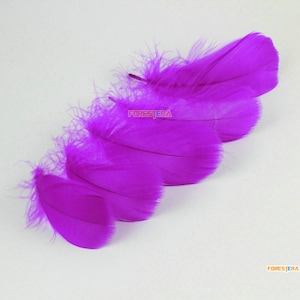 100 Pieces Purple Feather 6-12CM (YM394)
