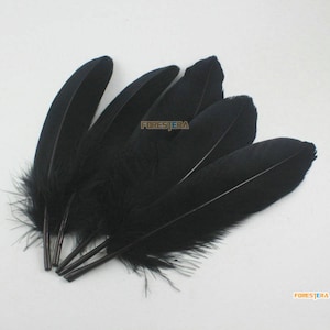 May include: A bunch of black crow feathers, ideal for crafting or decorating. The feathers are soft and fluffy, with a natural black colour.