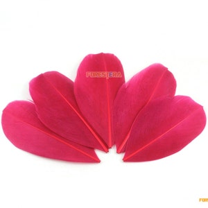 50 Pieces Wine Red Feather 5-8cm (YM85)