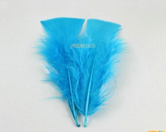 50 Pieces Lake Blue Feather 8-15cm (YM506) - Etsy