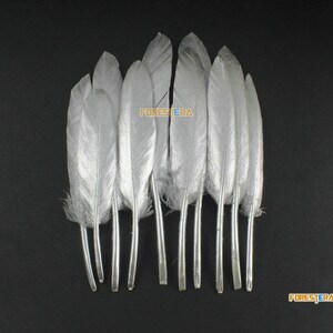10 Pieces Silver Painted Feather 9-15cm (YM480)