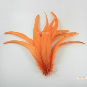 10 Pieces Orange Feather 35-40cm (YM578)