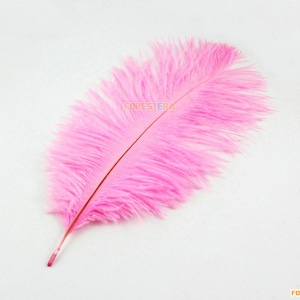 2 Pieces Pink Feather 20-25cm (YM124)