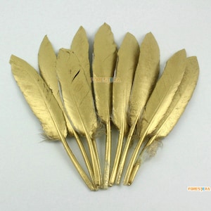 May include: A bunch of ten gold feathers, each with a slightly different shape and size. The feathers are arranged in a fan shape, with the tips of the feathers pointing outwards.