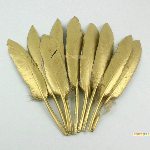 10 Pieces Gold Painted Feather 9-15cm (YM333)