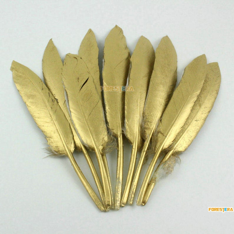 May include: A bunch of ten gold feathers, each with a slightly different shape and size. The feathers are arranged in a fan shape, with the tips of the feathers pointing outwards.