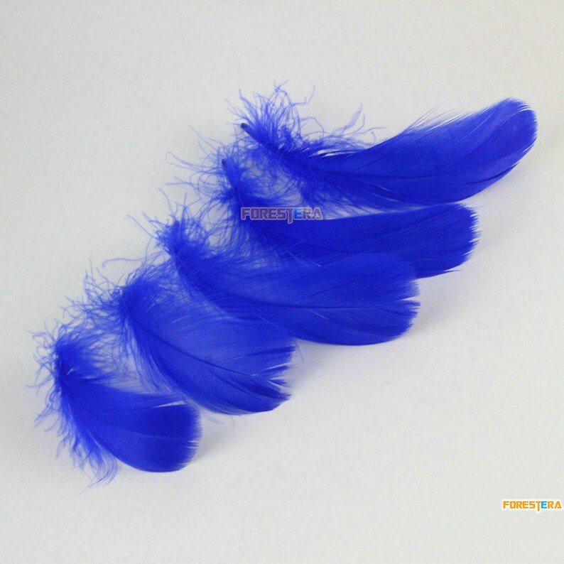 100 Pieces Dark Blue Feather 6-12CM YM396 image 1