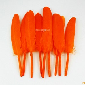 50 Pieces Orange Feather 9-15cm (YM139)