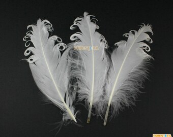 Puede incluir: Tres plumas de avestruz blancas con puntas rizadas. Las plumas están dispuestas en forma de abanico y sobre un fondo negro.