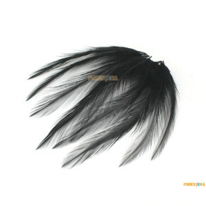40 Pieces Black Feather 8-15cm (YM630)