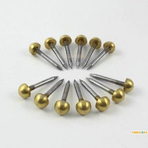 30-delige 8 mm massief messing bekledingspijkers (TN79)