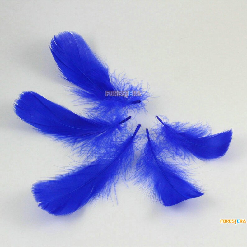 100 Pieces Dark Blue Feather 6-12CM YM396 image 3
