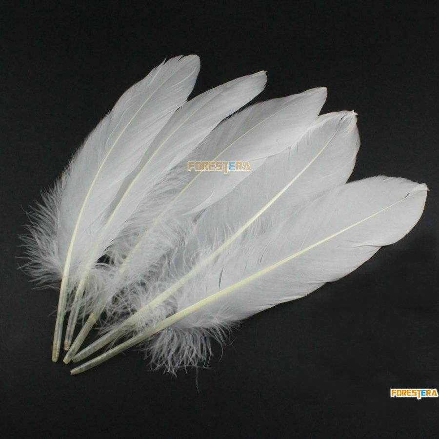 50 Pieces White Feather 14-20cm (YM349) - Etsy Canada