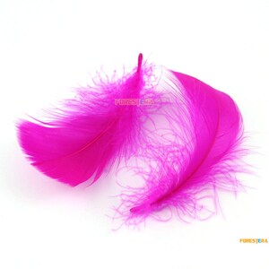 100 Pieces Rhodo Red Feather 5-8cm (YM222)