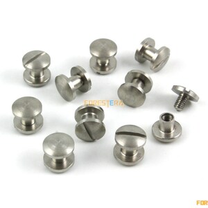 20 Set 8x4mm 304 In acciaio inox Rivet Chicago Screw per pelle Craft Cambered Head (SSC8X4)