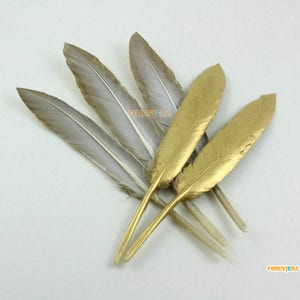 May include: Five feathers, some with a natural gray color and some painted gold. The feathers are arranged in a fan shape.